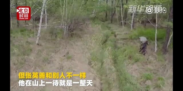 黑龙江老人坚持种树20年，种植上百万棵树，成就大森林