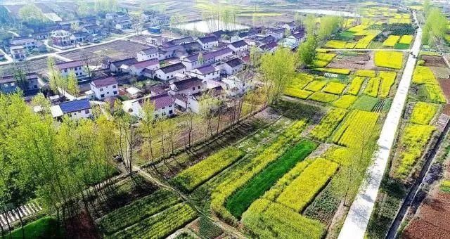 清明买不上票？各主题列车带你游全国！