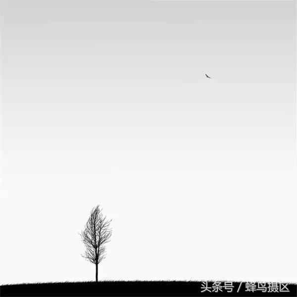 学会10个手机摄影技巧,手机就能当单反用了,直接进阶摄影大师