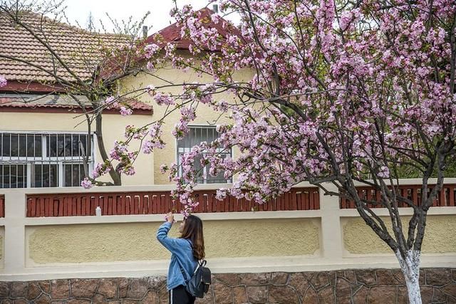 上合峰会让青岛更美丽，这个海滨异国风情浓郁的地方不容错过