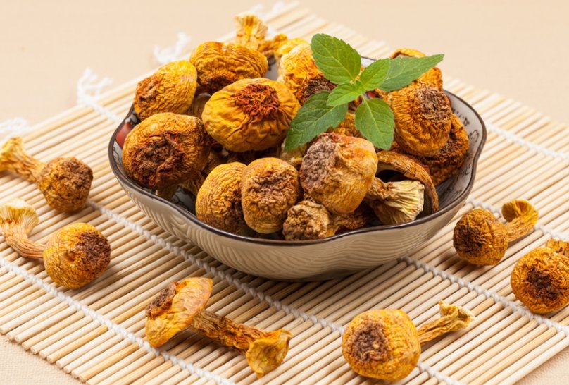 hpv九价疫苗没用