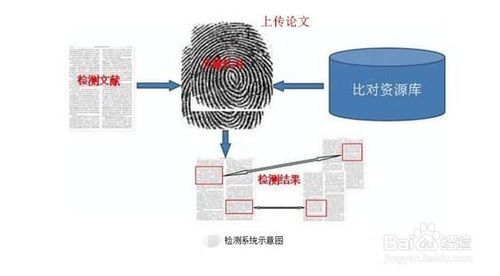中国知网论文查重检测入口经验