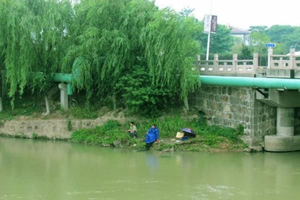 夏季钓鲤鱼老扑空，原来钓位没选对，后悔以前不知道