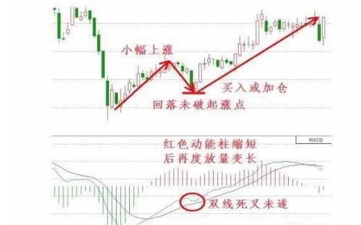老股民曝光MACD选股技巧,超简单实用,看懂少走十年弯路