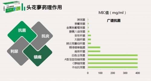 千年苗药“克淋通胶囊”入选《中成药临床应用指南》