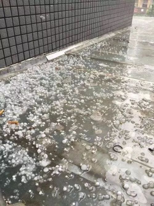今天宁波下冰雹了!雷电橙色预警和高温报告发