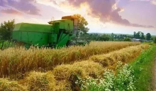 今年秋分将设立中国农民丰收节!中国几亿农