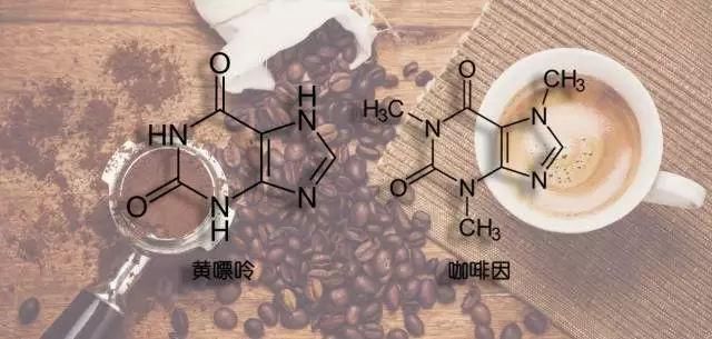 咖啡因到底对健身有没有用?这样喝,其实是一种