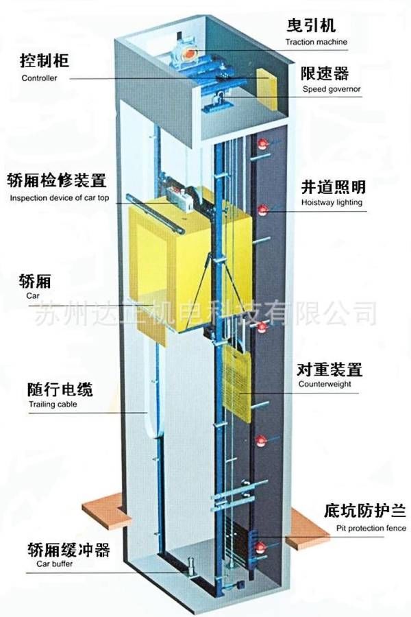 在电梯坠下着地前一刻瞬间跳起，能不能成功生还?