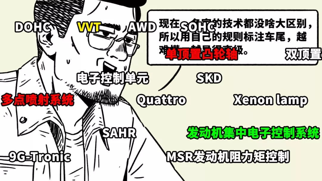 t019d00c8f18939d700.jpg