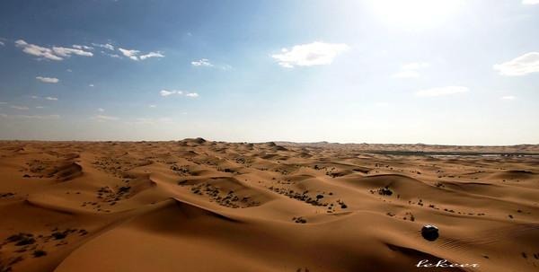 荒漠也不是荒漠了