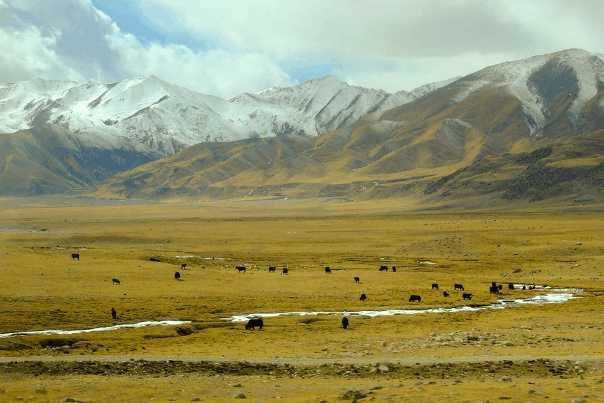西藏那曲，中国唯一没有树的城市，却依旧天蓝水净