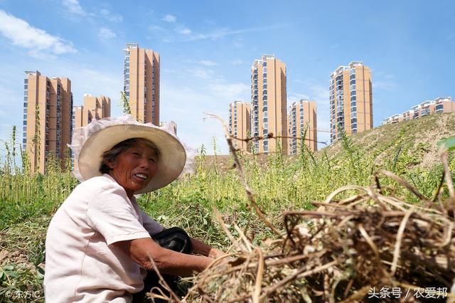 专家说的对:“不建议农民进城买房”你认为这样的说法对吗?
