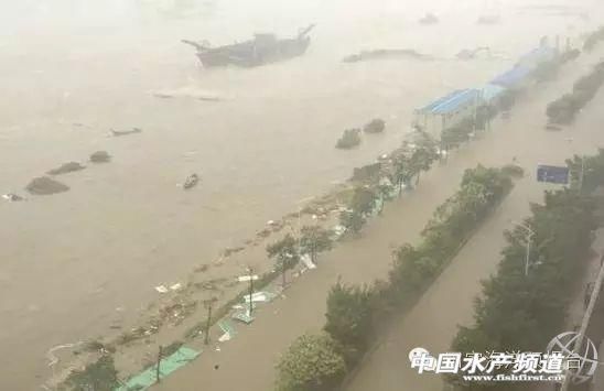 最强王者?或超18级!今年超级风王山竹已诞生