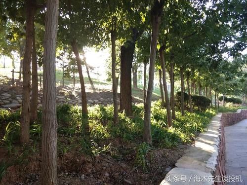 理财顾问告诉投资者,什么是标准的资金配置