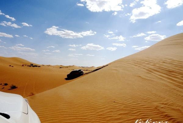 荒漠也不是荒漠了