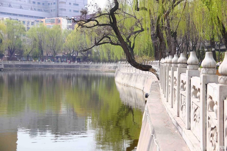 《春之彩》文瀛公园遛个弯!