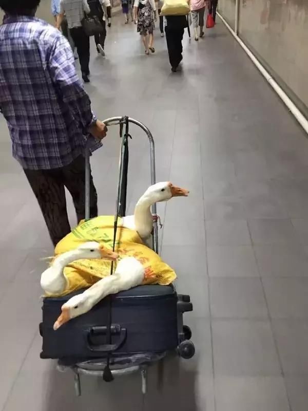 上海人，为什么不喜欢地铁安检，终于有人说出了真相……