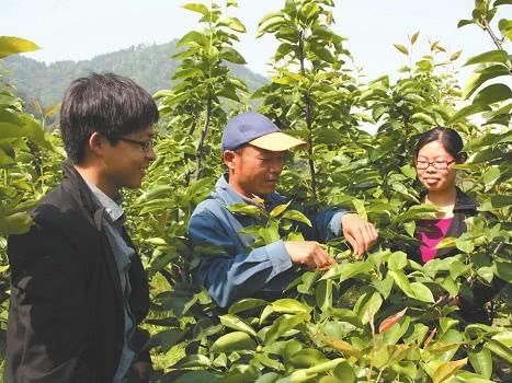 同样是在农村，为何村干部有退休金，农民却没有，专家给出了解释