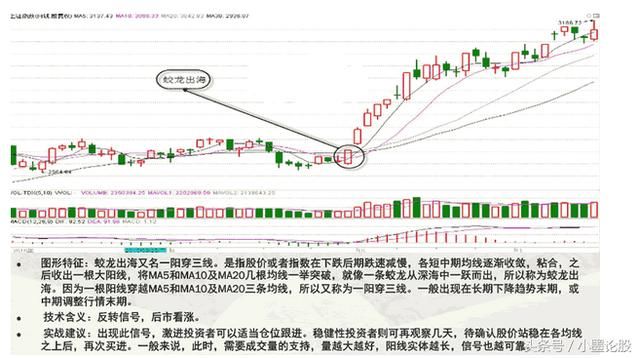 一位成功老股民赠言：学会5招，MACD+均线相结合就能闯荡股市！