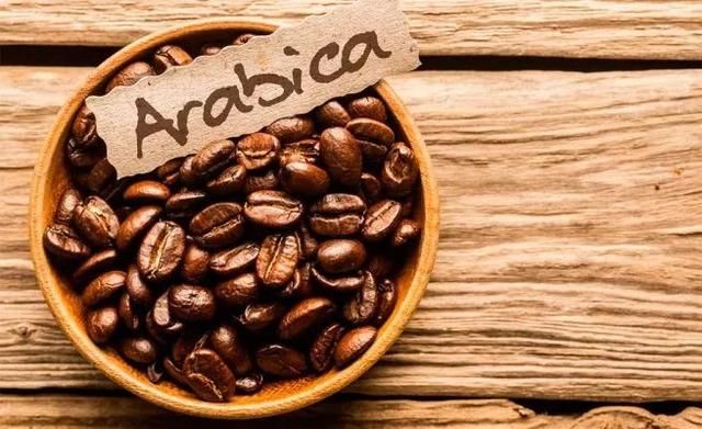 魔都红得发紫的“Arabica”是真正的阿拉伯咖啡？别逗了！