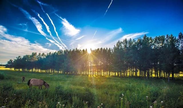 7月走进坝上、走进草原、走进盛夏的乌兰布统！