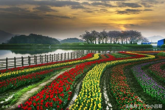 很经典的句子,珍惜现在拥有的,答应自己,做最好