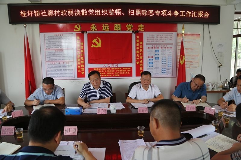 梁子财:狠抓软弱涣散村整顿 强力推进扫黑除恶