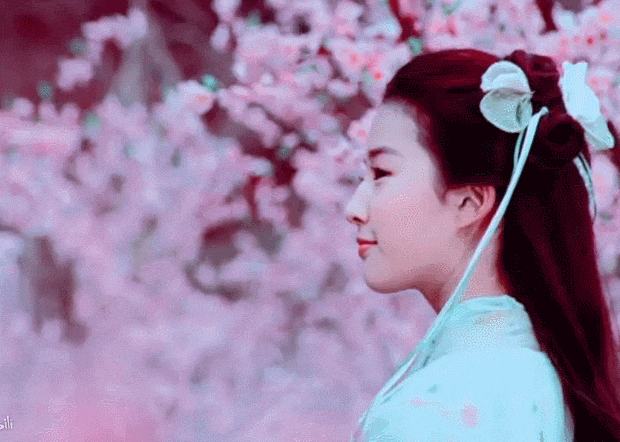 刘亦菲主演的真人版 首先,在花木兰的选角上,就是充满看点的.
