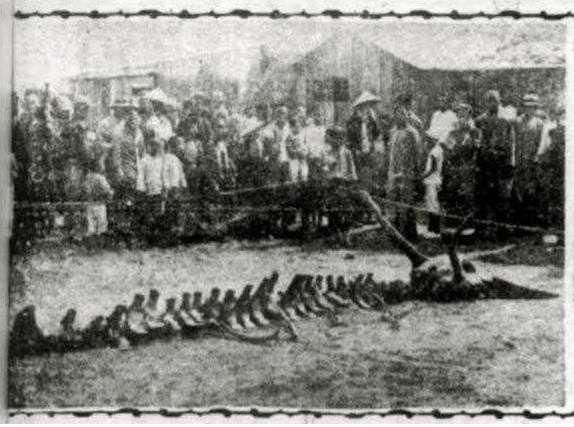 未解之谜中国神秘事件 t019ed26bb6382b1807.jpg