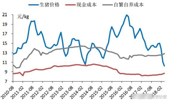 生猪价格出现加速反弹，关注猪周期拐点