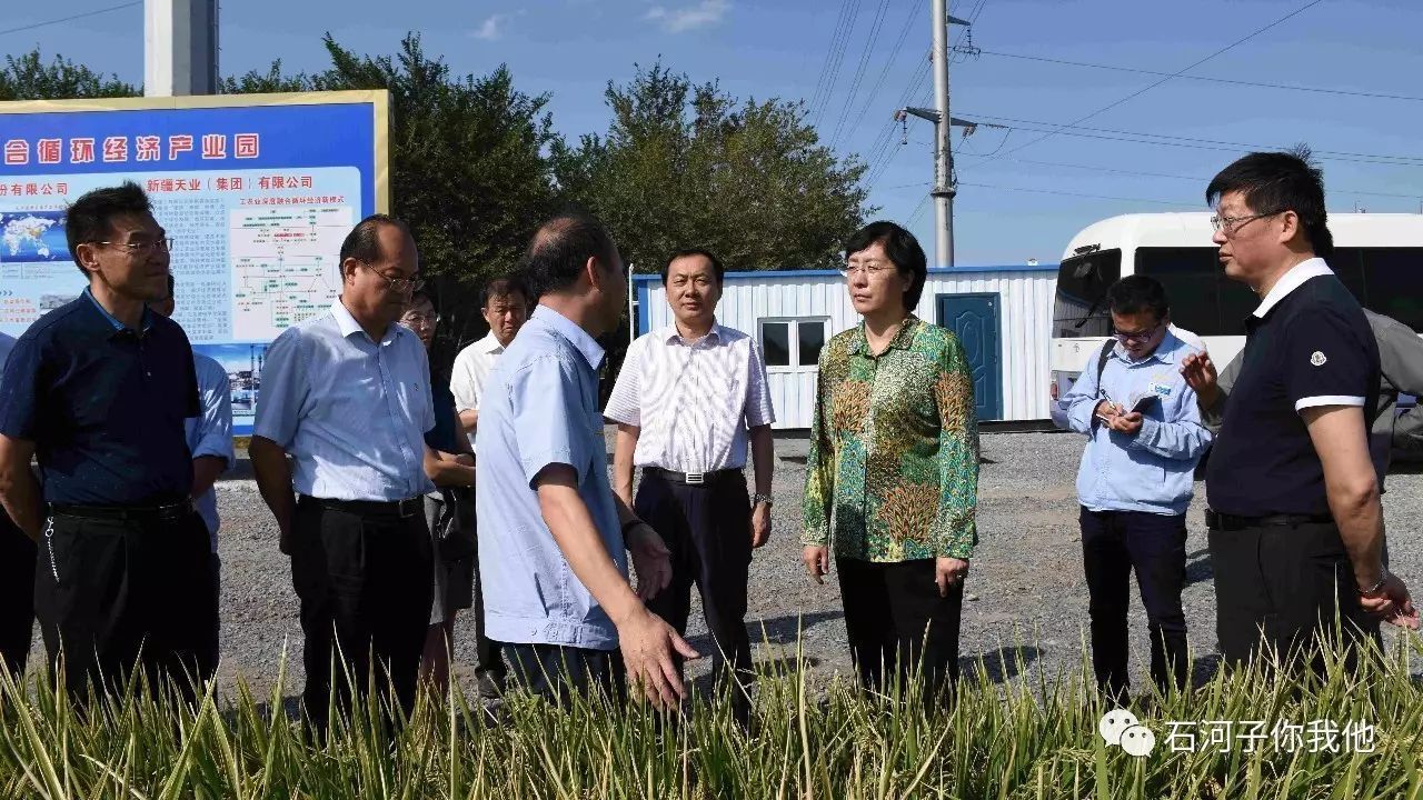 国家食药监管总局副局长焦红到八师石河子市调