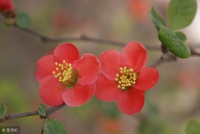 过日子，什么最重要？