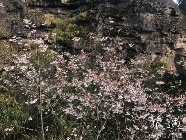 从高处俯瞰福建泰宁十里平湖：感受猫儿山公园的奇特之景