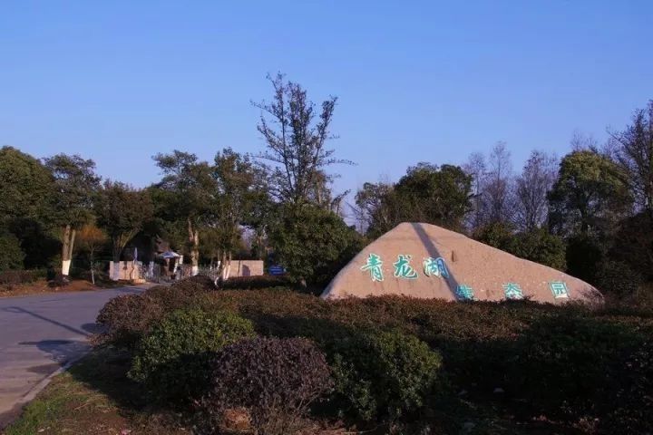 桥北大盘冒雨加推 247套房源全部售罄!泰禾收