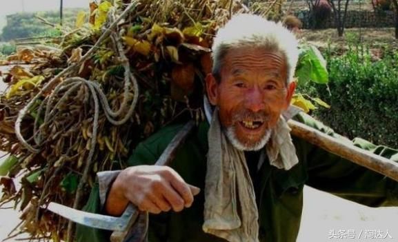 农村老人讲的俗语鱼生火,肉生痰,青菜豆腐保平