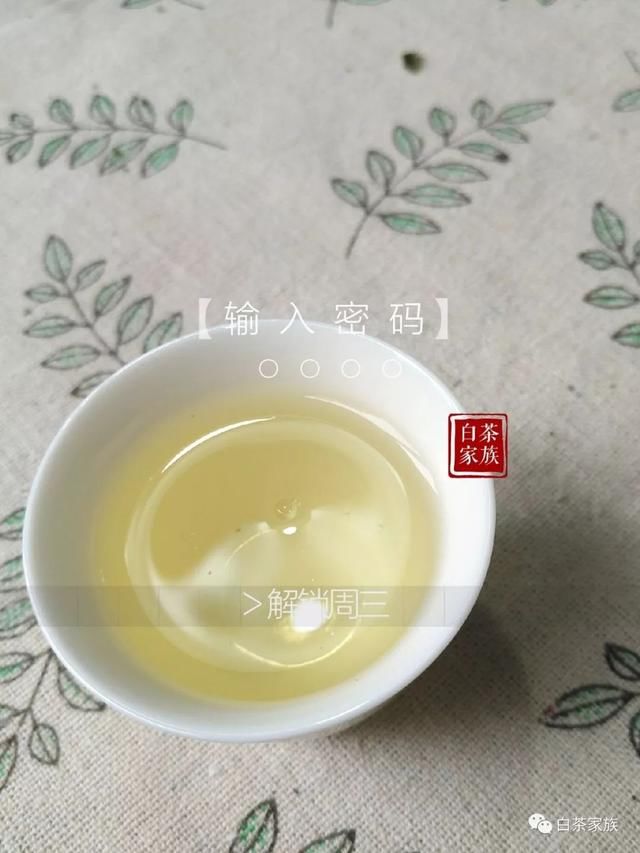 这样的冲泡方式，糟蹋了多少白茶？