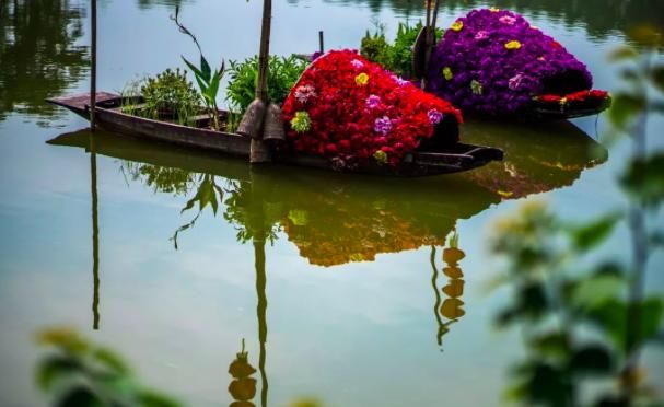 清明小长假去哪儿?广东乡村游 古村自求变,乡