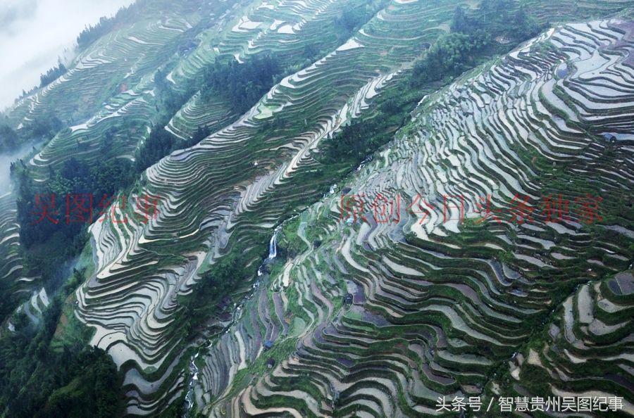 多彩贵州,从江苗族陡坡造田上万亩,全长二十五公里太壮观了