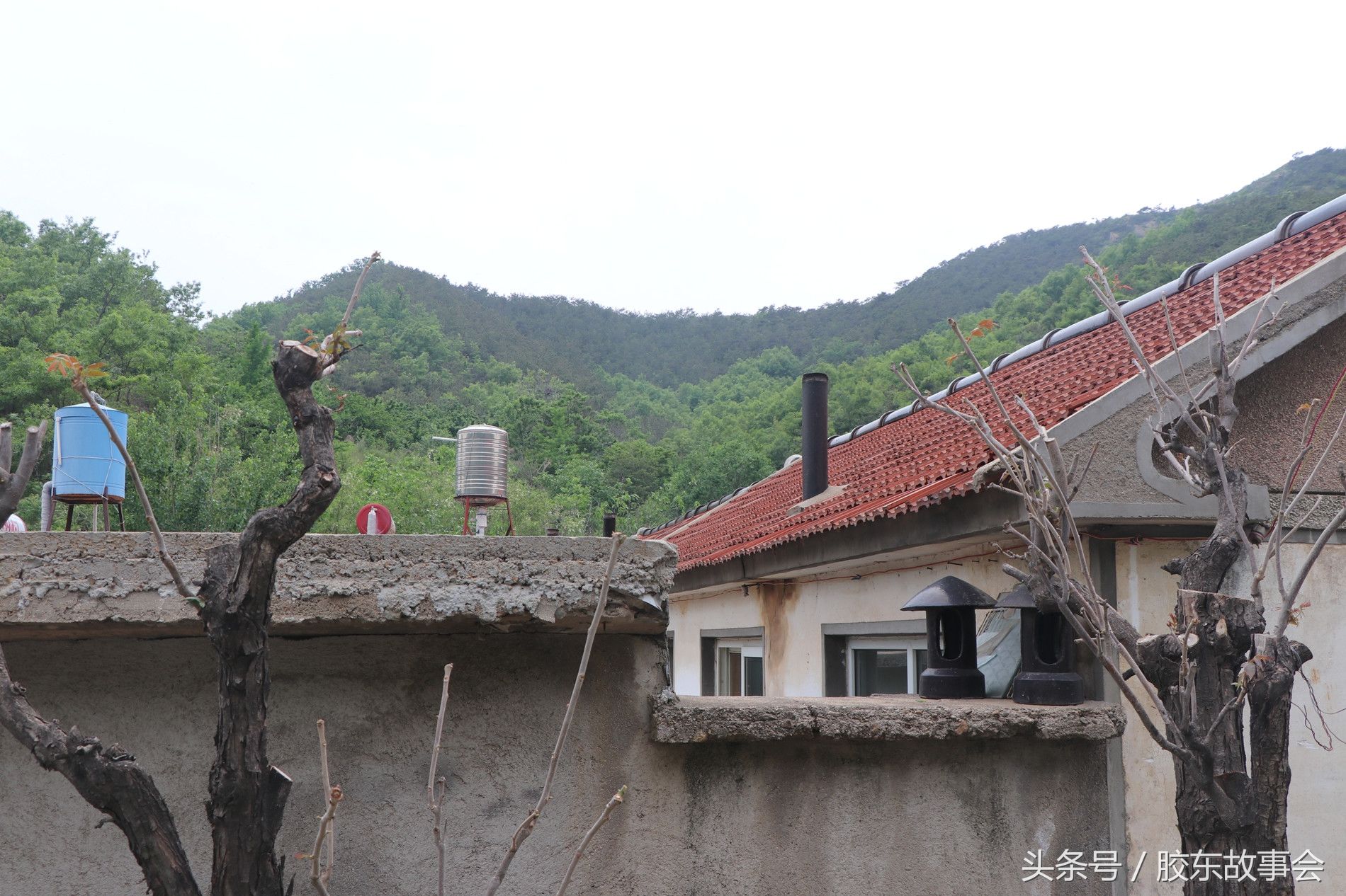 烟台栖霞这个村地处深山，鲜有外人到访，很像世外桃源