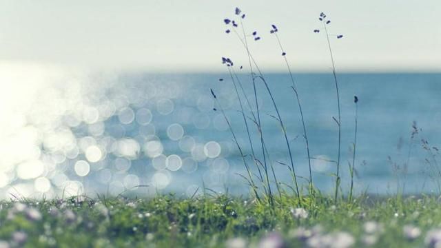 2018安徽桐城农商行笔试时间发布!