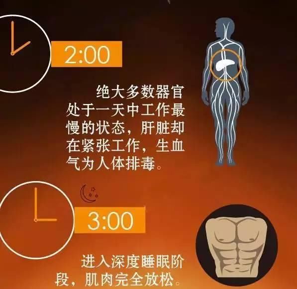 什么时候去健身比较合适，看一张图秒懂