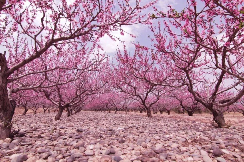 小长假别再出国了!浪了青海，就等于浪了全世界，不信你看!