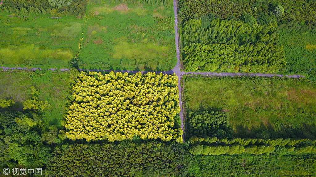 江苏南通五山及沿江生态修复进展顺利 生态景