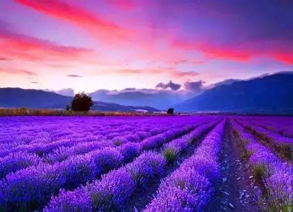 南京这些超适合一日游的地方,每一个都美如画!不看要后悔!