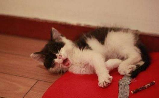 微信很久不上激活不了