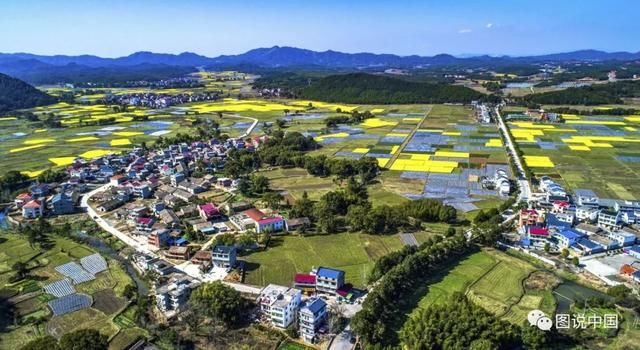 江西小众油菜花观赏地推荐 避开人海独享花海
