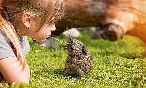 五一假期4天,带孩子出去旅游准备这么物品,实