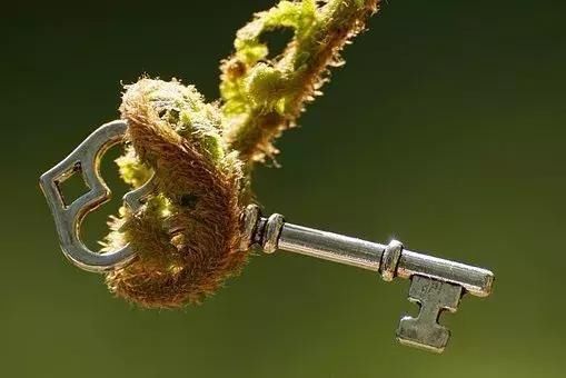 为什么会计挣得少,而注册会计师挣得多?