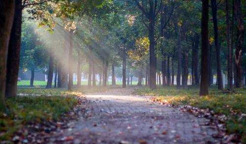 心理学家:抑郁症患者做好这个自救方法,就能战